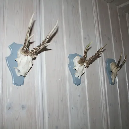 Foresta בית הארחה