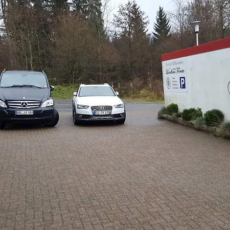 Foresta בראונלאגה