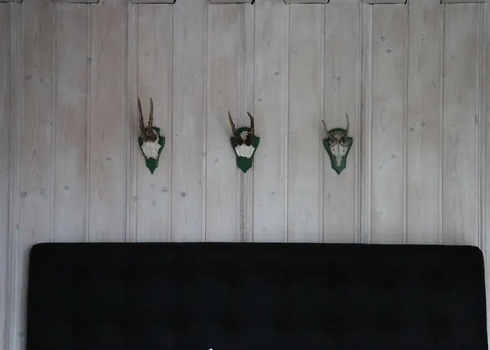 Foresta Гостевой дом 4*