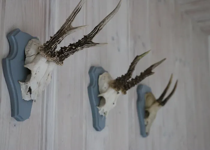 Gæstehus Foresta Braunlage