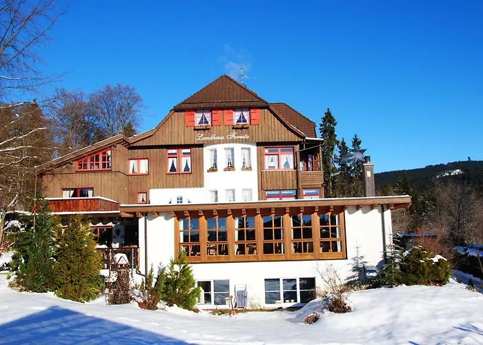 Foresta 4* Braunlage